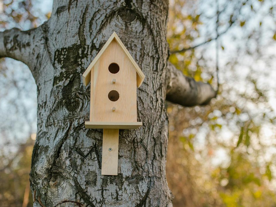 schilder-workshop-vogelhuisjes-dyari-events-1