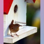 schilder-workshop-vogelhuisjes-dyari-events-2